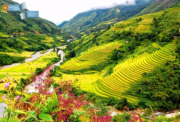 18 ĐỊNH LUẬT CUỘC ĐỜI NHẤT ĐỊNH PHẢI BIẾT